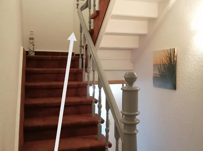 Steinmarner Bude 2 *